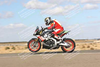 media/Nov-03-2024-TrackDaz (Sun) [[44580f4982]]/B Group/1220pm (Wheelie Bump)/